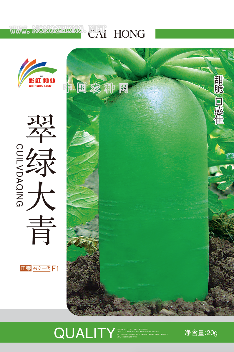 翠绿大青